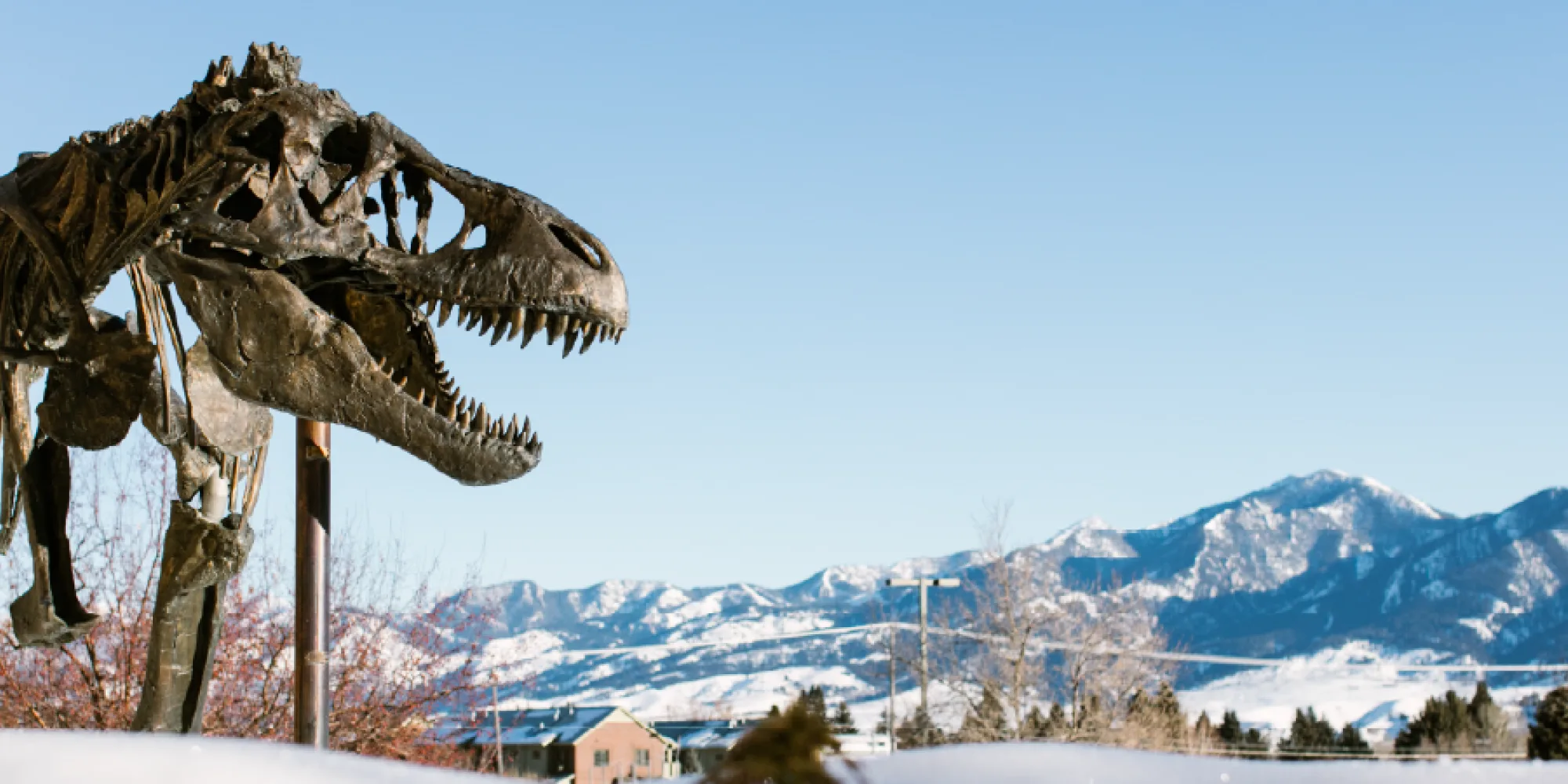Visit BZN itinerary images 3 Days in Bozeman Montana A Winter Itinerary Day 2