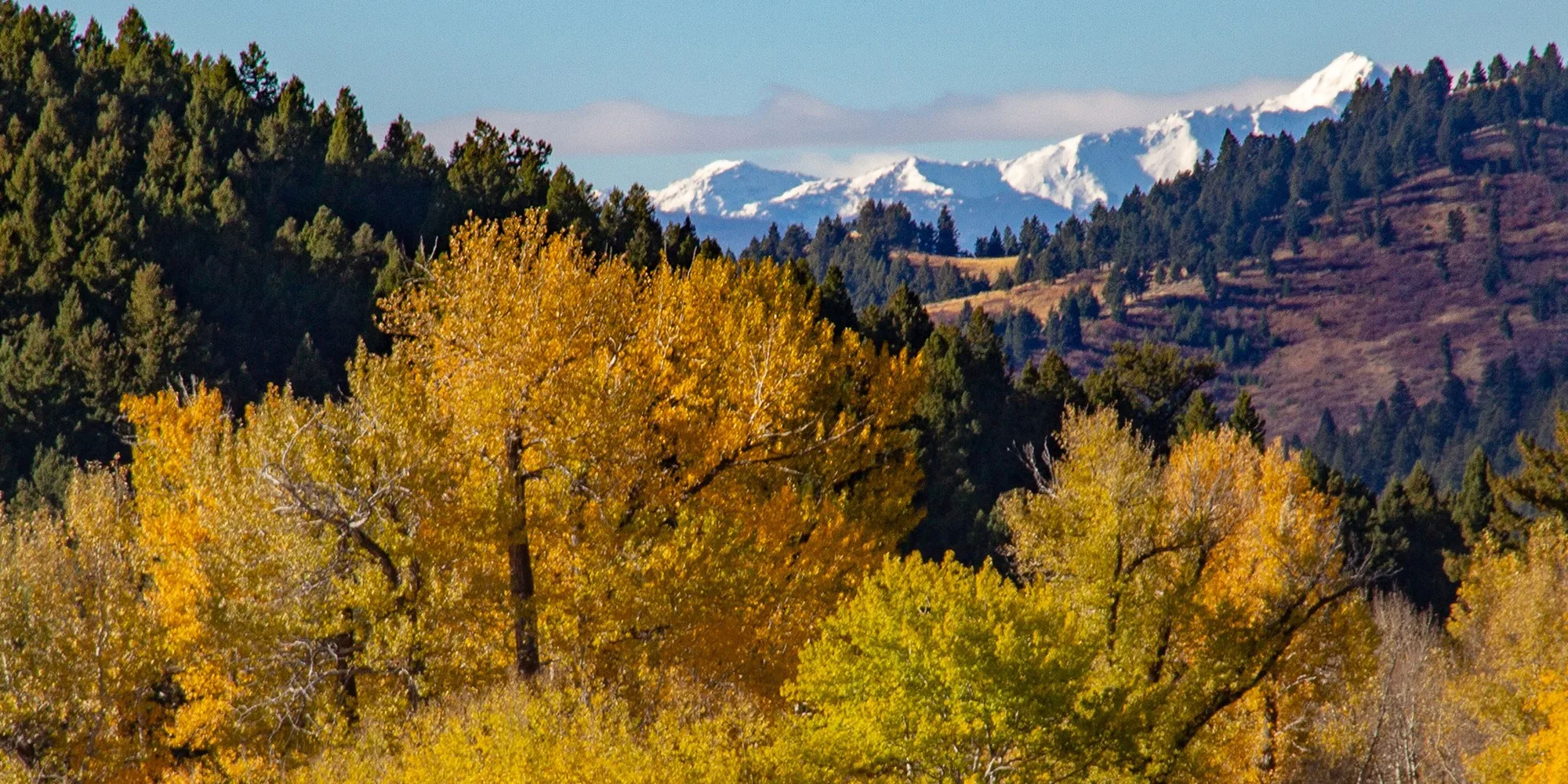 Fall 3 days
