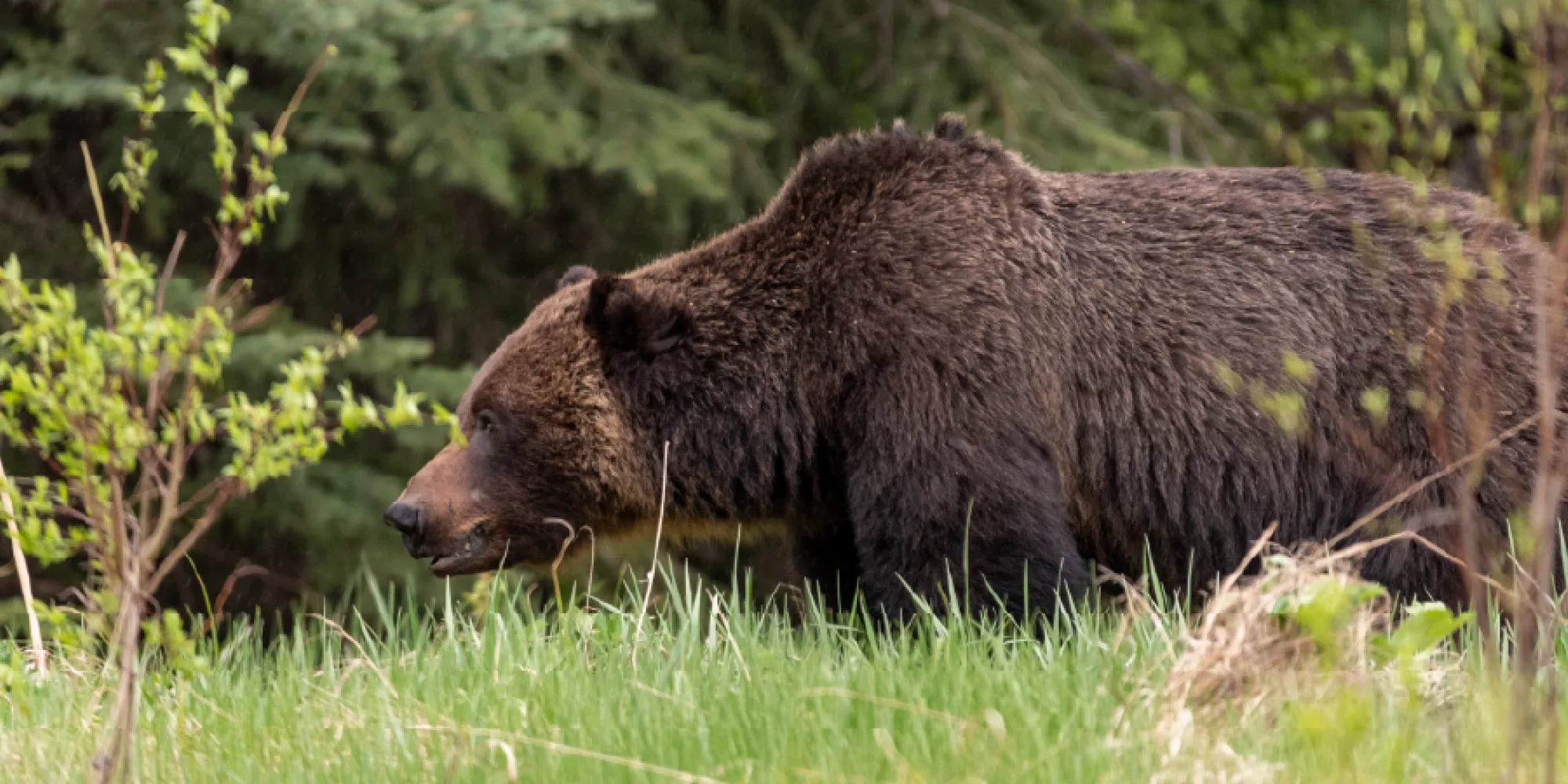 Visit BZN itinerary images 4 Unique Activities in bozeman 3