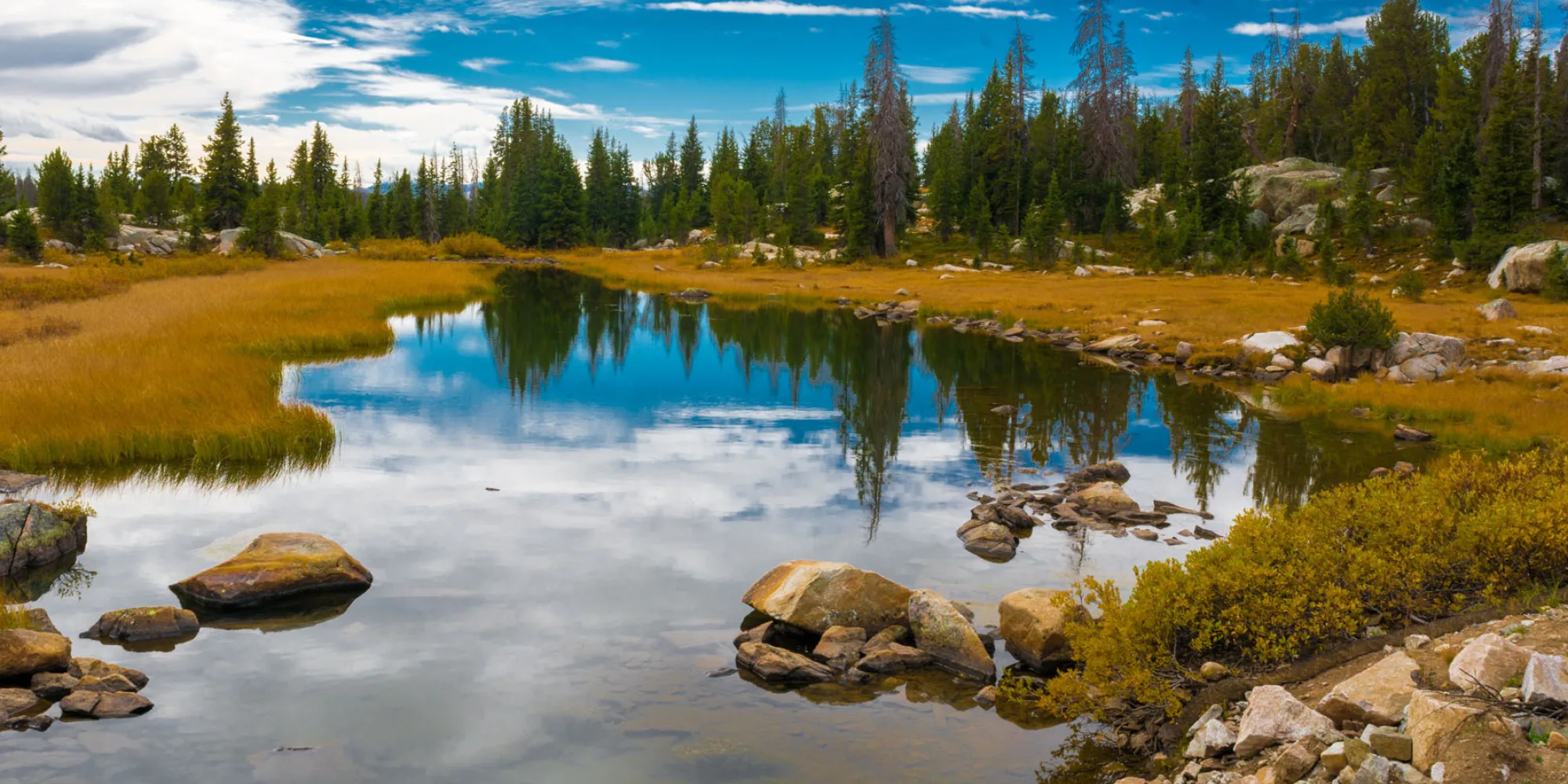 Adobe Stock 127950669