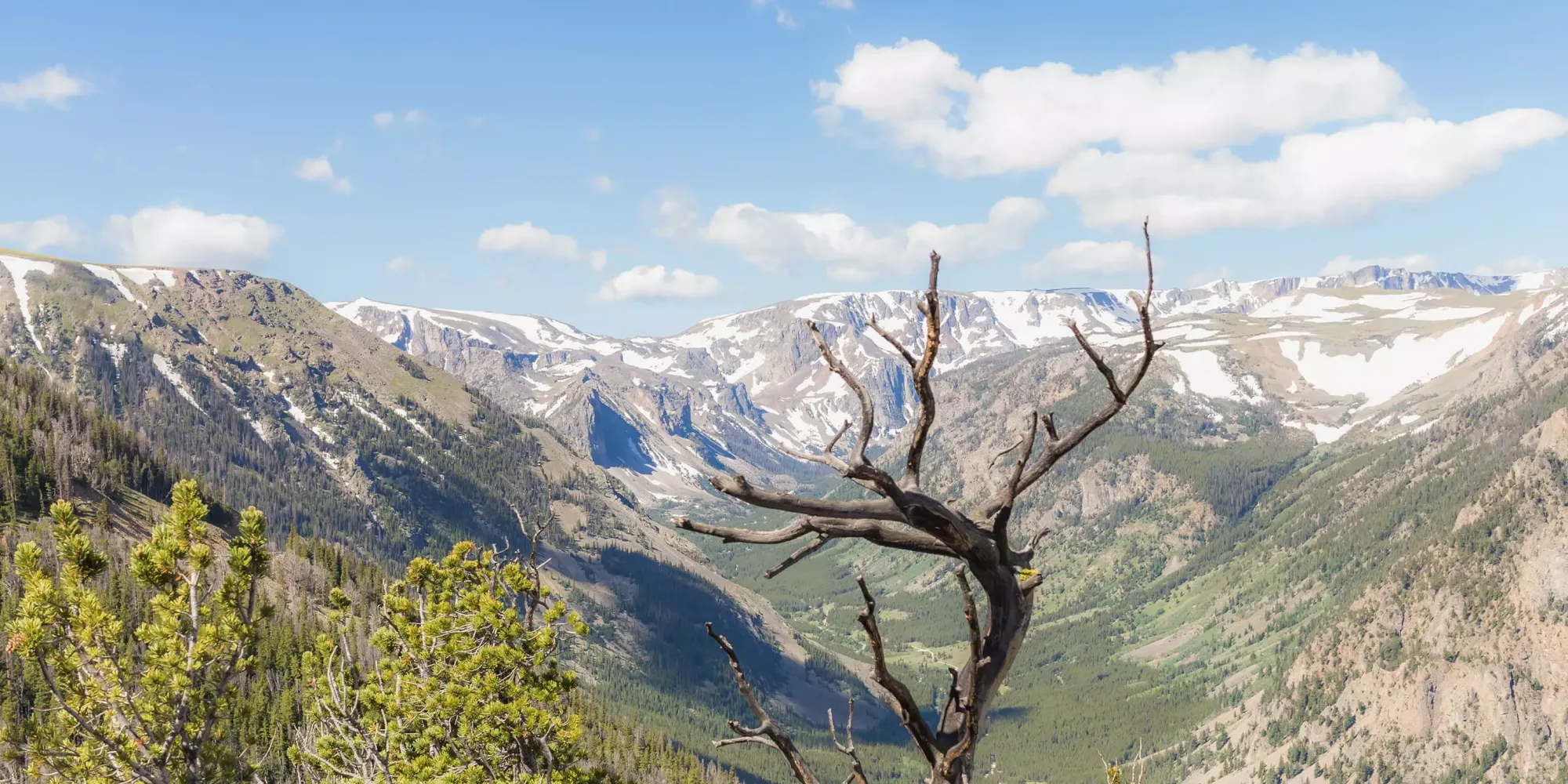 CVB beartooth highway blog3
