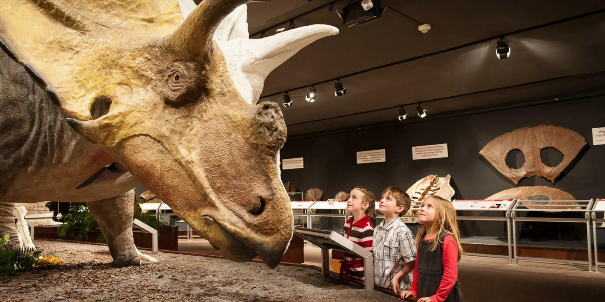 Museums