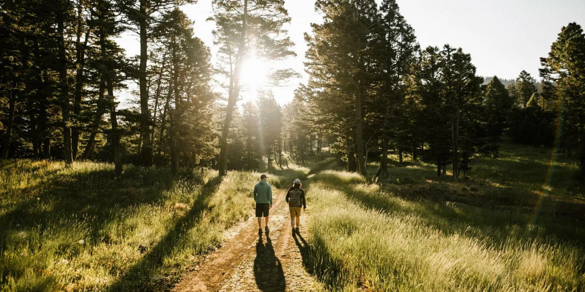 Hiking
