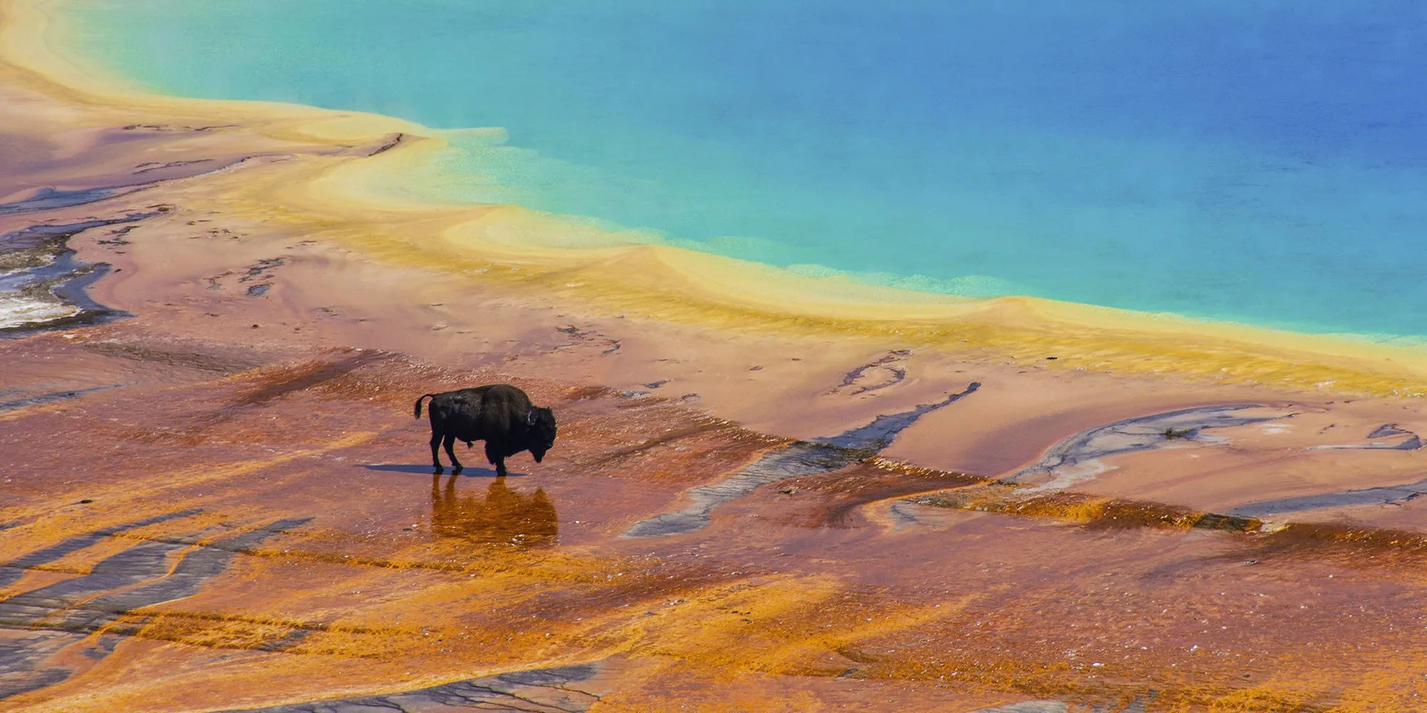 Yellowstone 4 day