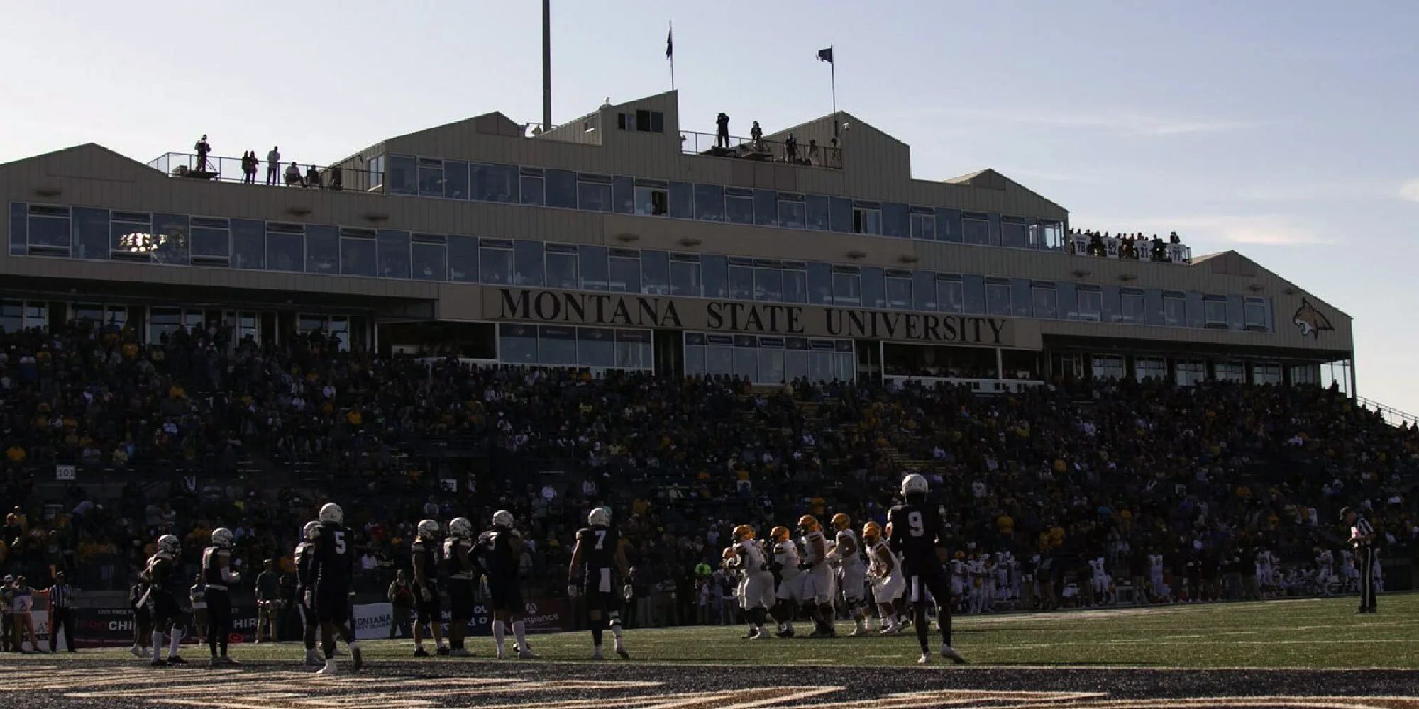 Montana state football