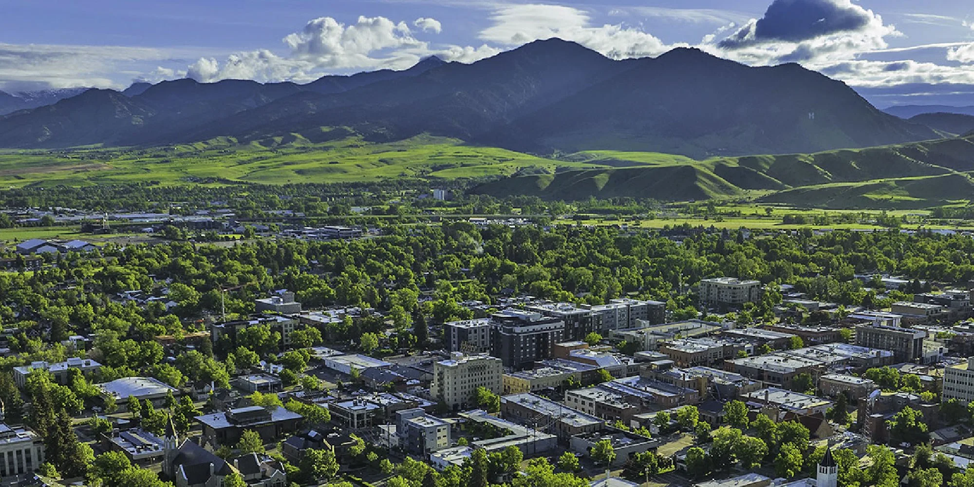 Business bozeman