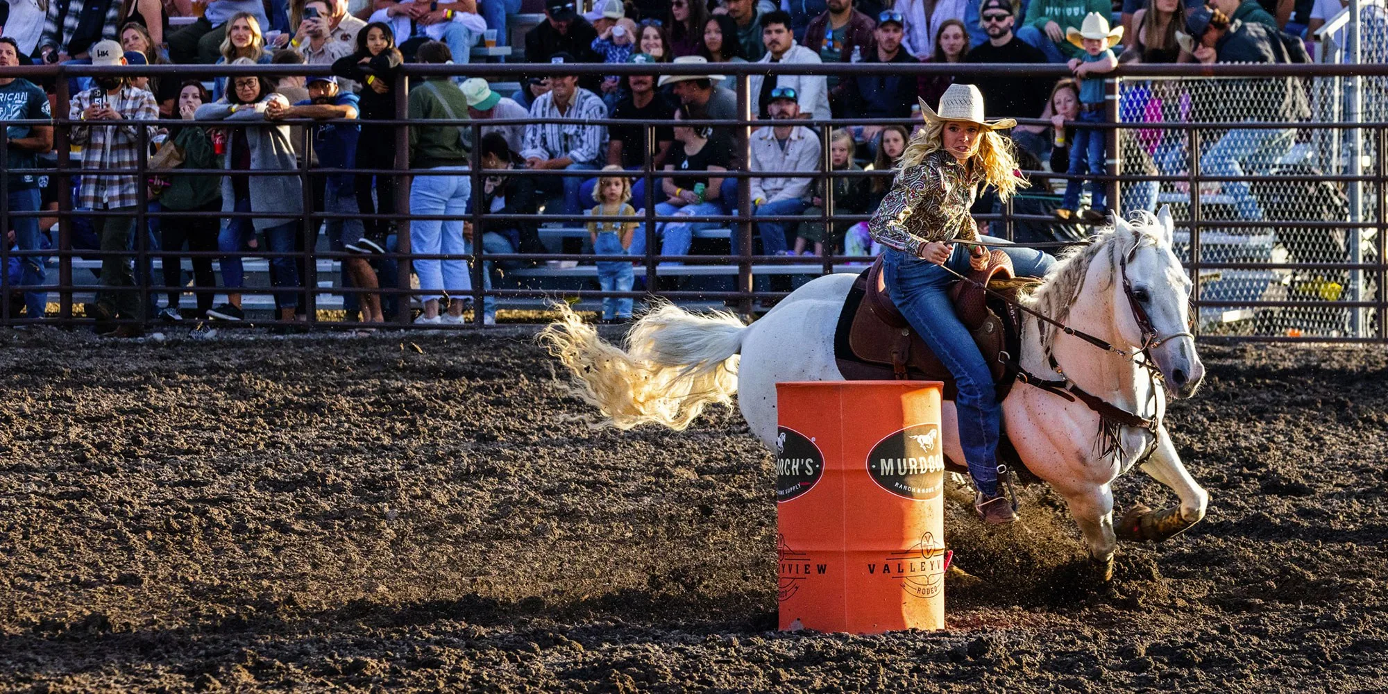Bozeman western