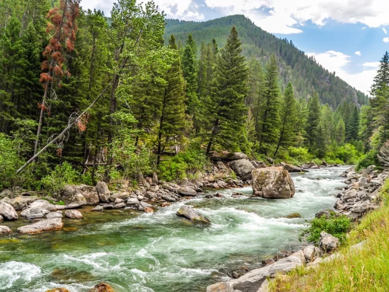 Gallatin river