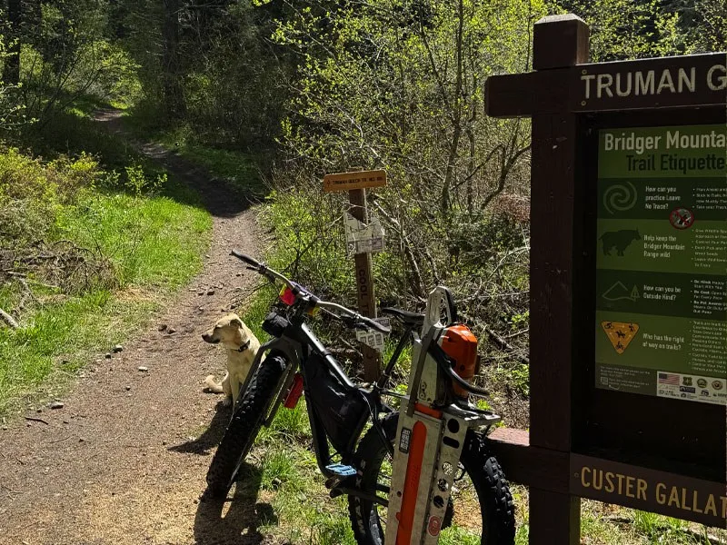 Truman gulch