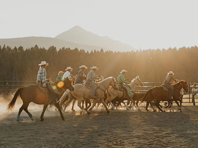 Lone mountain rodeo
