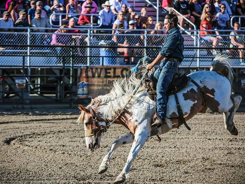Big timber rodeo