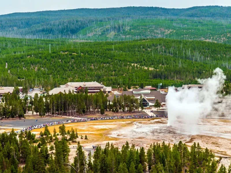 Old faithful