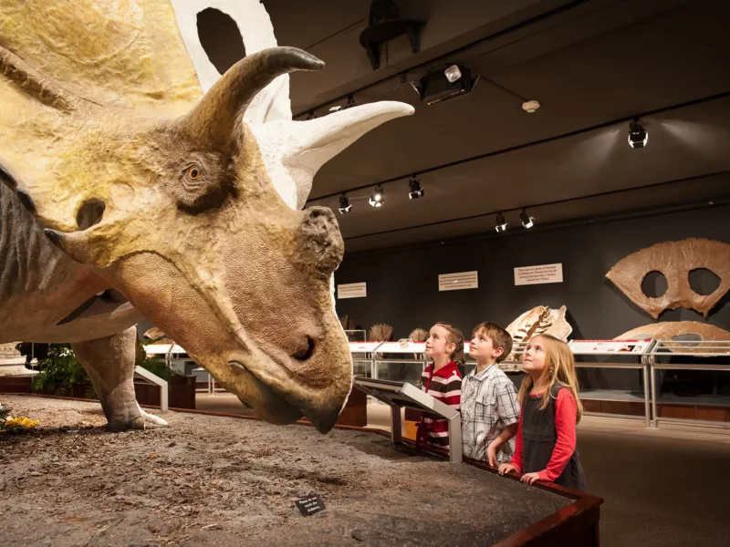 Museum of the rockies