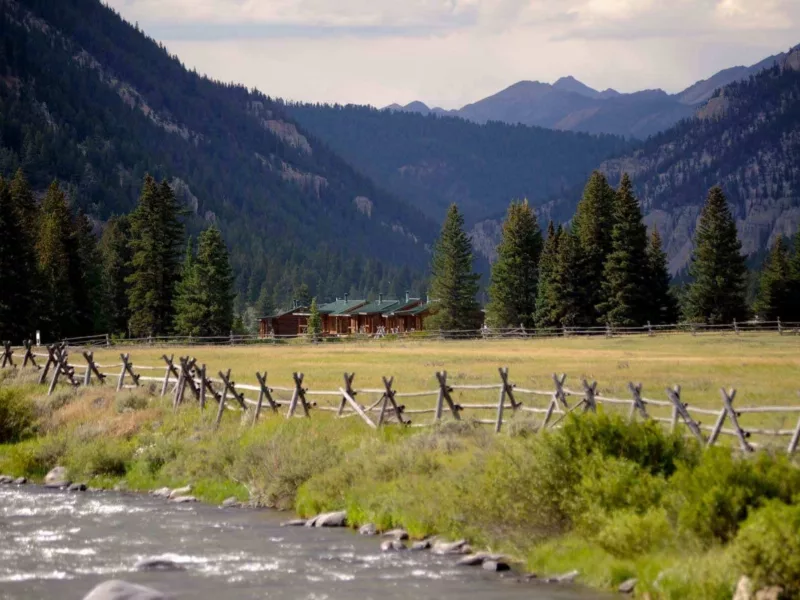 Website Home Page e1589216157867