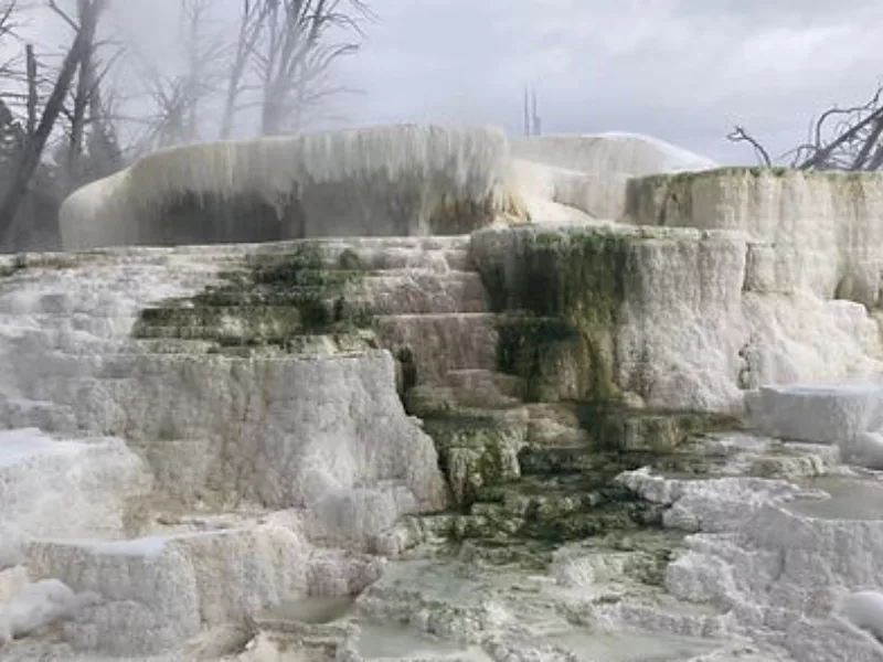 Old Faithful 4