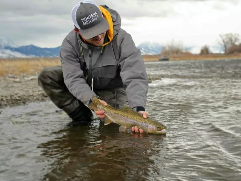 Angler madison river rainbow trout
