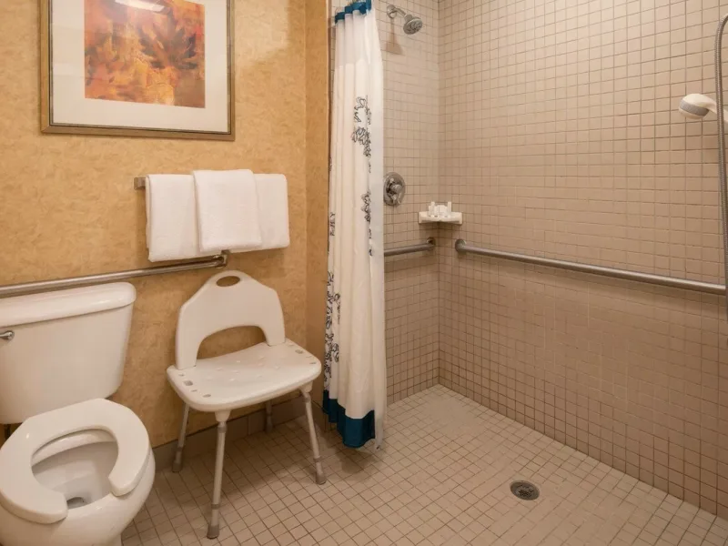Bznri accesible bathroom 9427 hor c