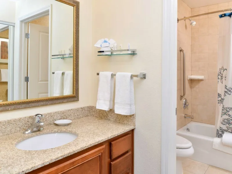 Bznri bathroom 0030 hor clsc