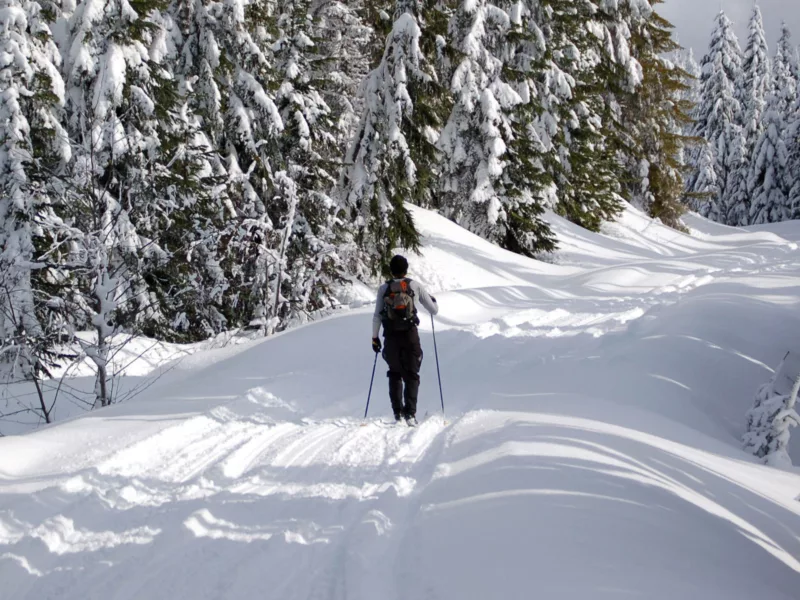 Cross country skiing