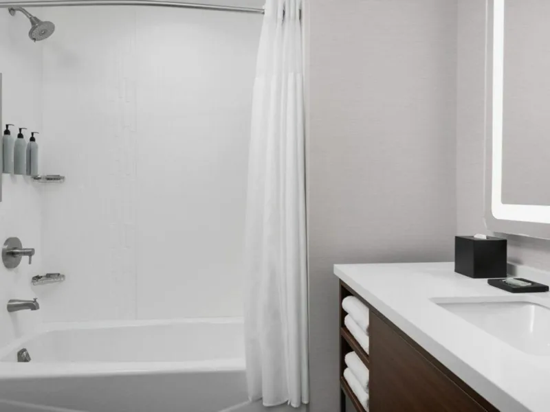 Cy bzncy bathroom with tub 41252 Wide Hor 2023 12 27 193202 warz