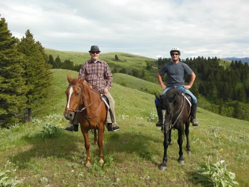 Dadanddanonhorses GOOD