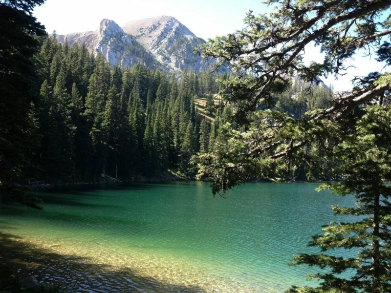 Fairy lake via all trails