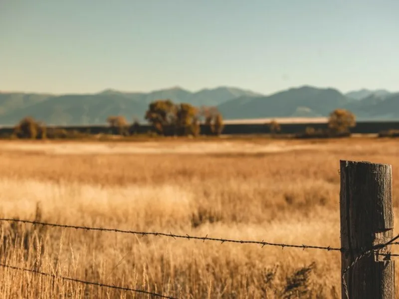 Fence 2023 10 30 221717 dktk