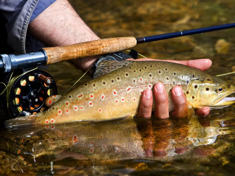 Fly fishing