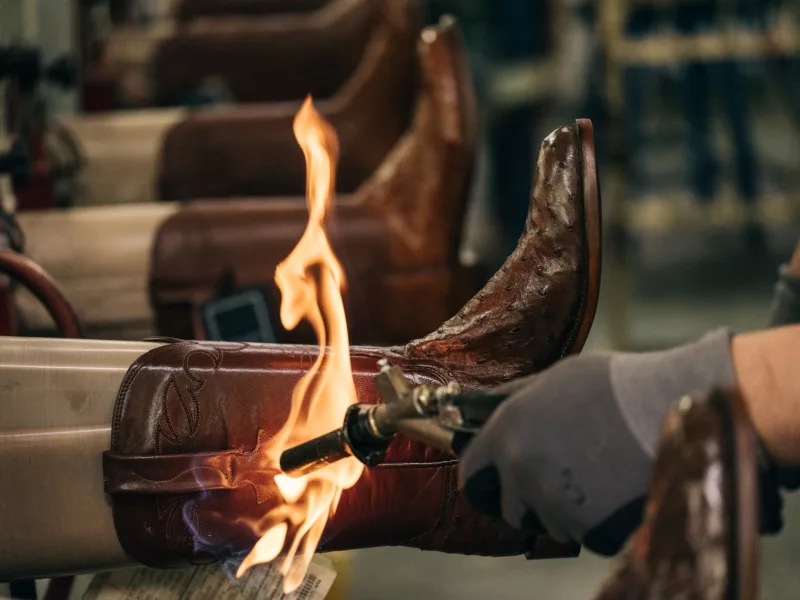 Lucchese
