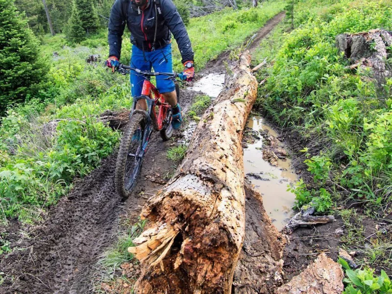 Stefanmitrovich mountain biking