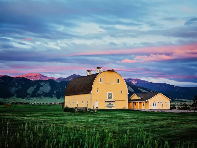 Big Yellow Barn2023040 web 2500w