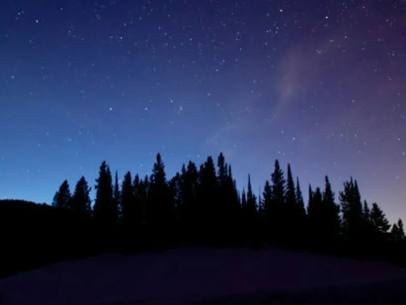 Featured Image 2880x1440 stargazing wildlife 540x304