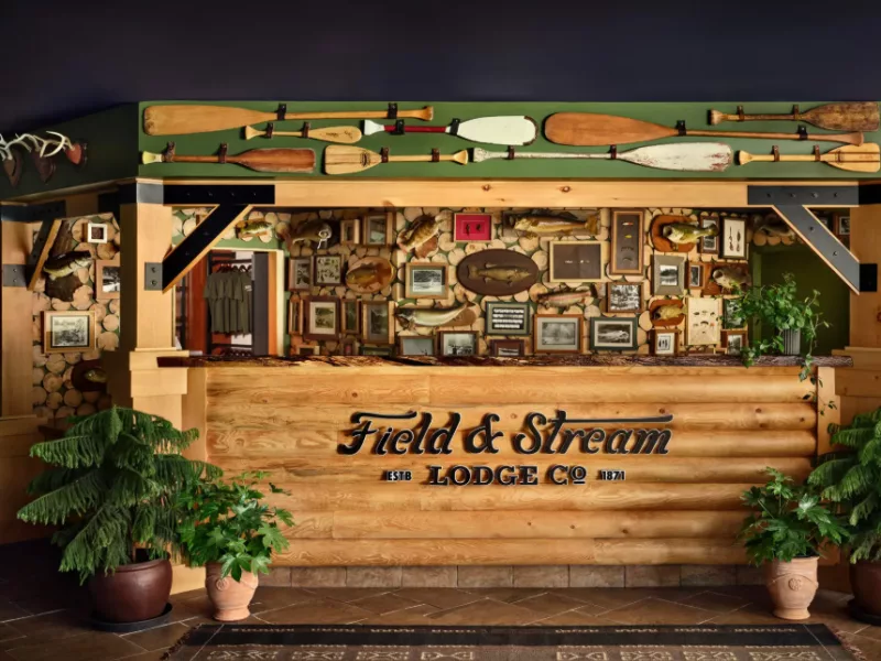 Field Stream 1