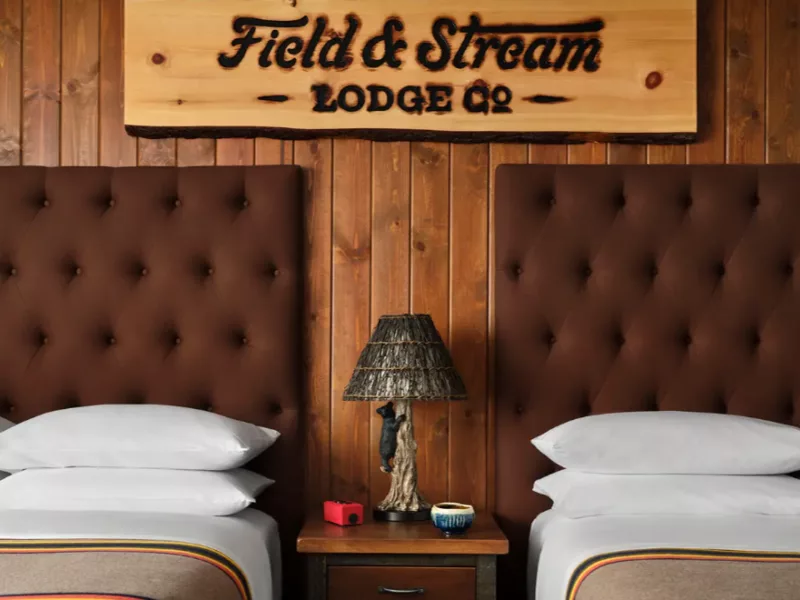 Field Stream Room 1