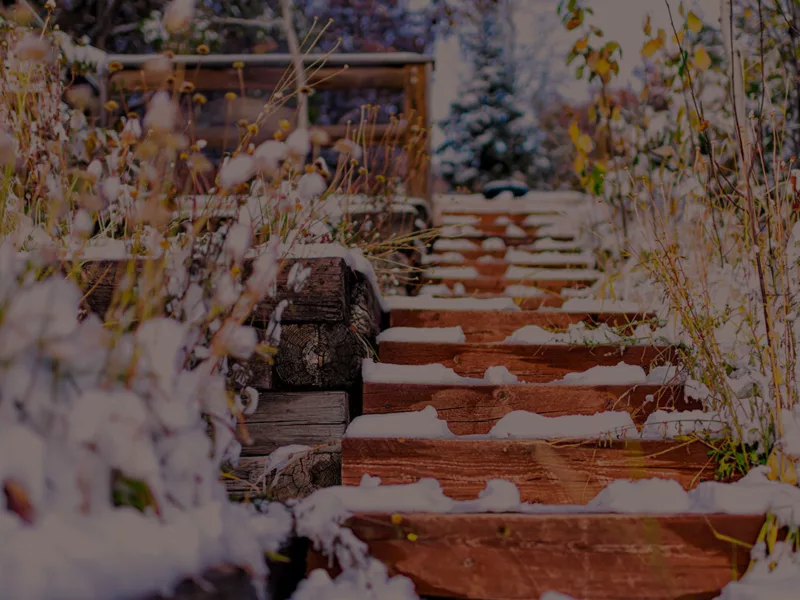 Holiday Header v1