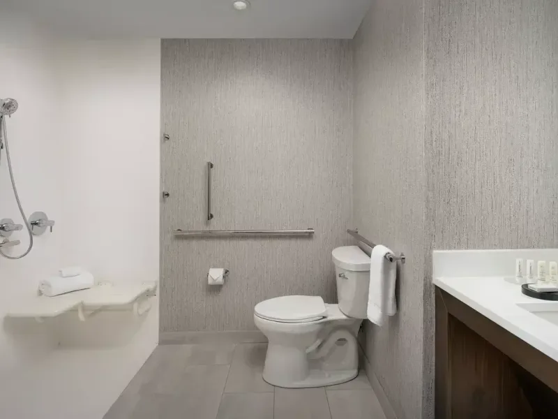 One bedroom suite king