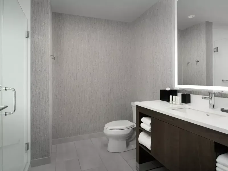 Bznre guest bathroom 3553 hor clsc