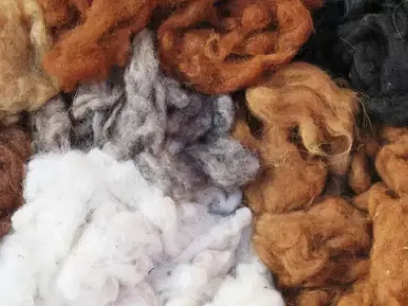 Wool vs alpaca GSM 400x