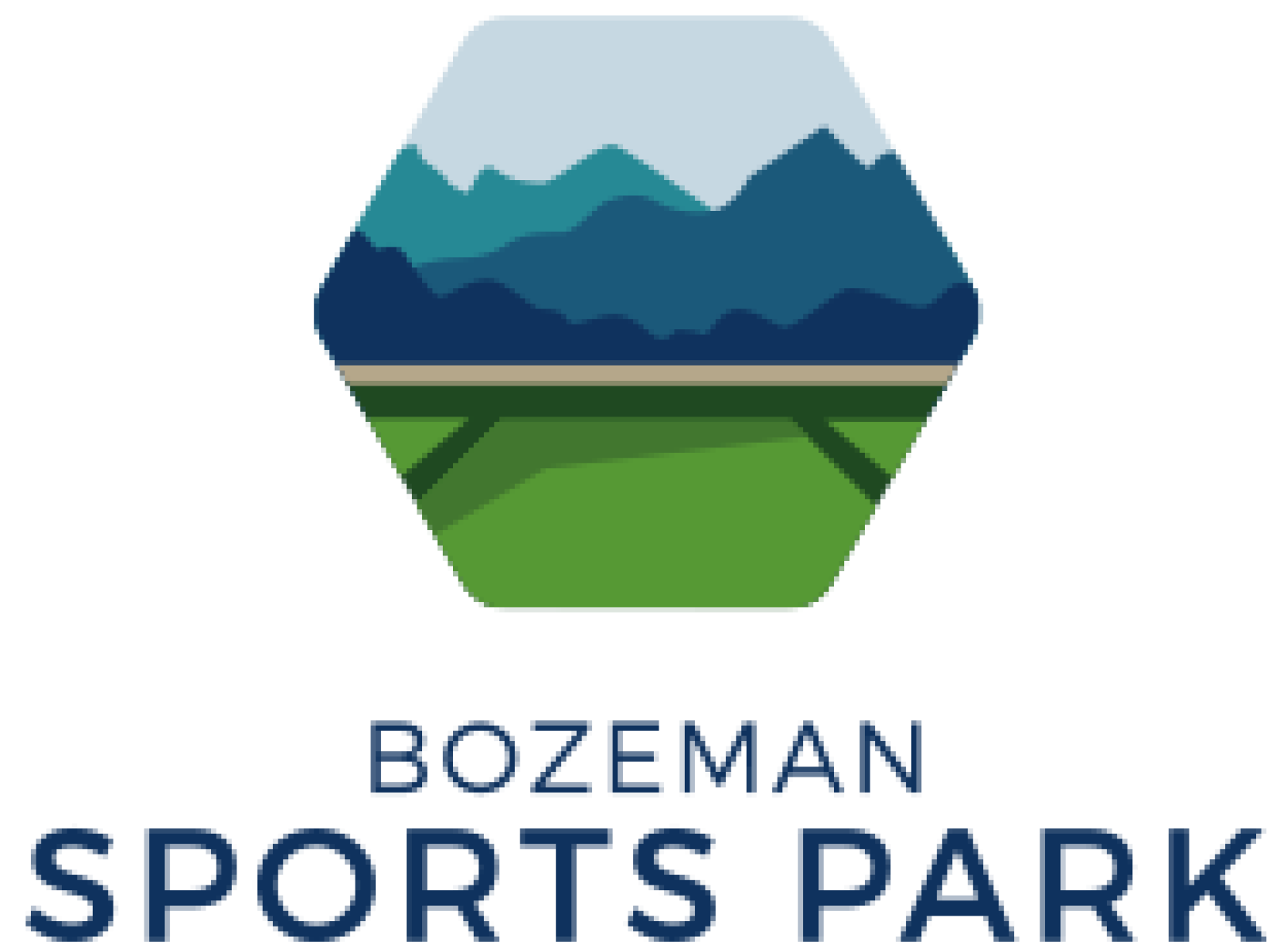 BSP Logo