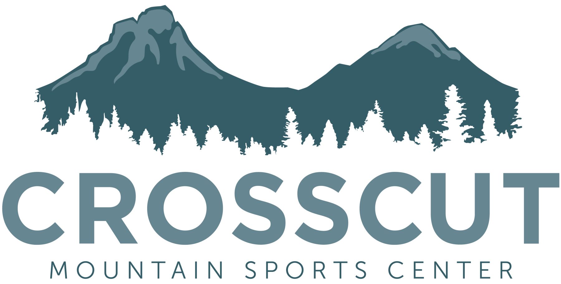 CMSC Primary Logo rgb