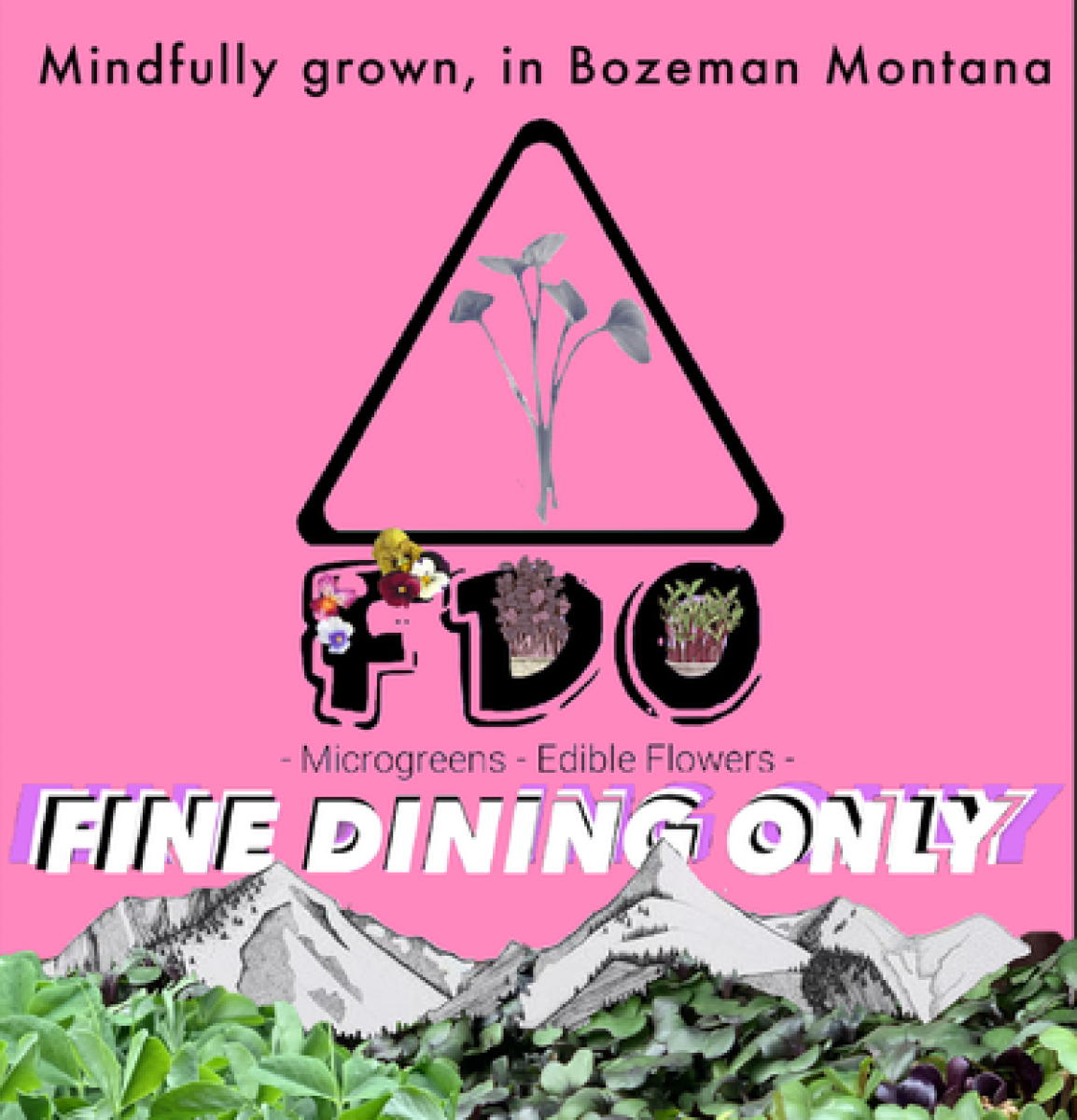 FDO logo