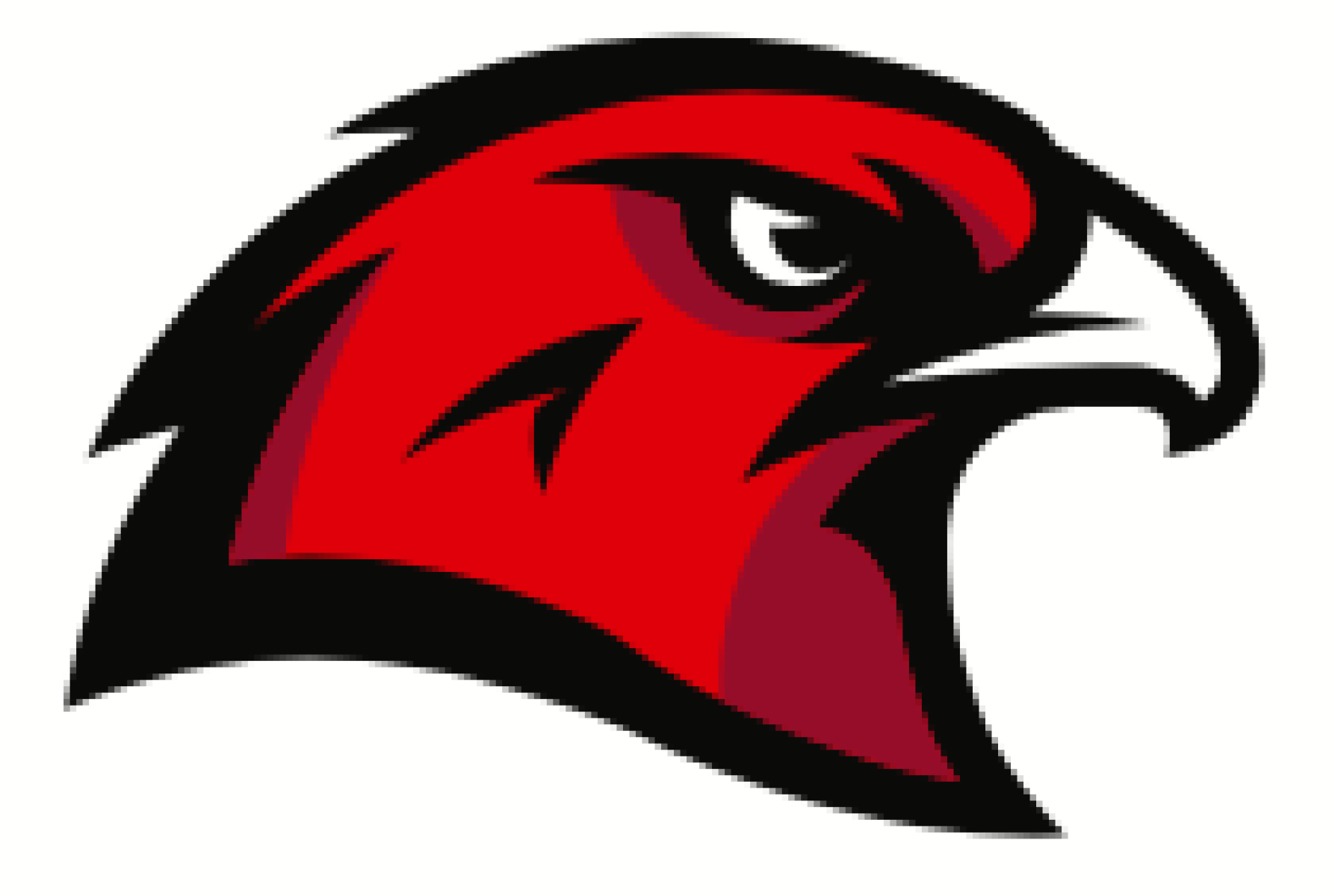 New Hawk Logo jpg