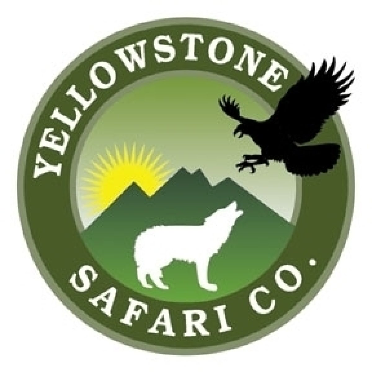 Yell Safri Greenlogo