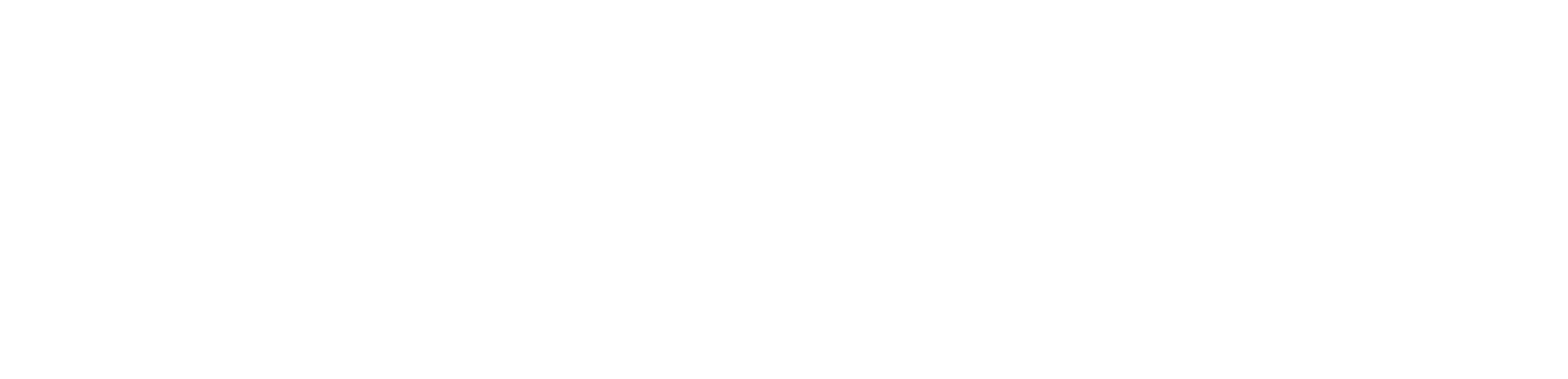 Bridger bowl logo