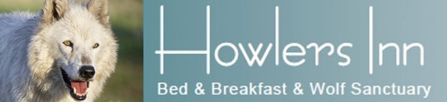 Howlers bed breakfast logo