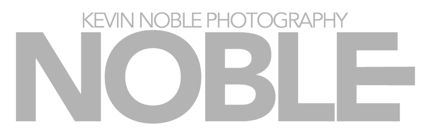 Noblelogo Feb2b